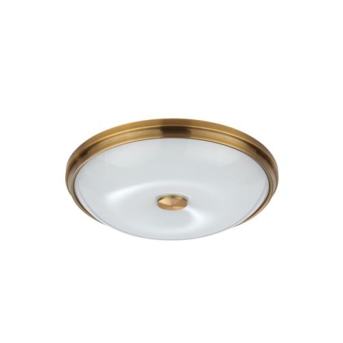 Настенно-потолочный светильник Odeon Light Pelow (Пелов) 4956/4