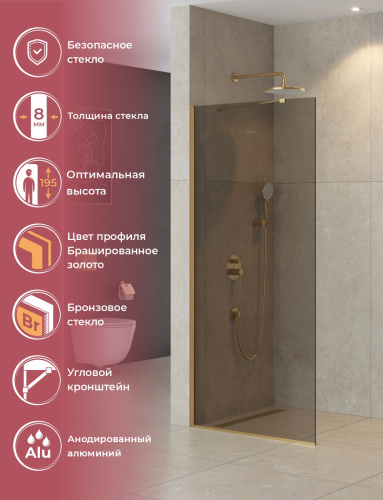 Душевая перегородка Cezares LIBERTA LIBERTA-L-1-TB-100-BR-BORO 100х195 стекло тонированное профиль золото