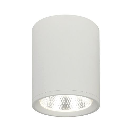 Светильник потолочный Escada 20003 20003SMU/02LED SWH