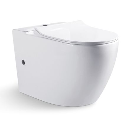 Чаша унитаза напольная Bravat Gina CX01008UW-PA-ENG цвет белый с сиденьем микролифт без бачка безободковая душевой смыв