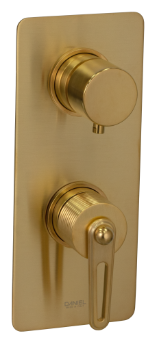 Смеситель для душа Daniel Brooklyn BY612D2KBDP встраиваемый в стену брашированное золото без термостата