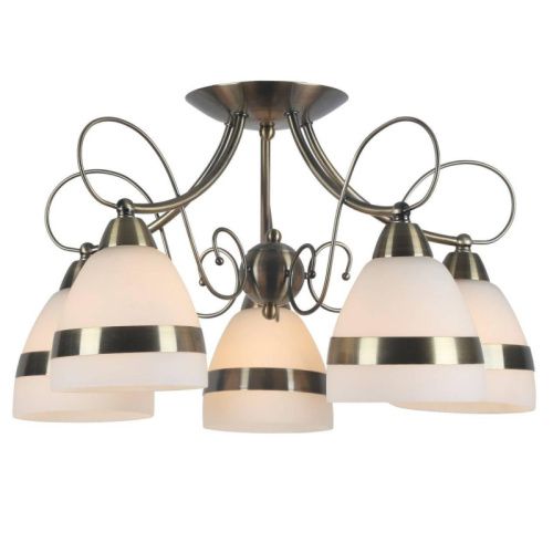 Люстра потолочная Arte Lamp Noemi (Ноеми) A6192PL-5AB