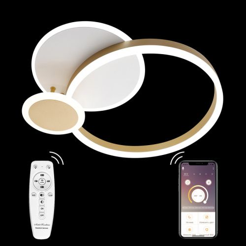 Люстра потолочная Natali Kovaltseva LED LAMPS (ЛЕД ЛАМПС) LED LAMPS 81303