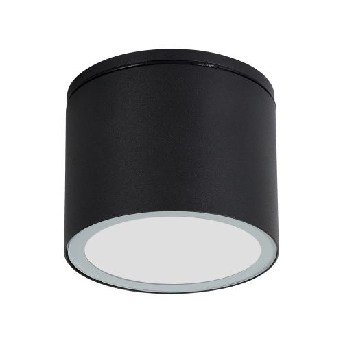 Уличный потолочный светильник Arte Lamp Piautos (Пиаутос) A1913PF-1BK