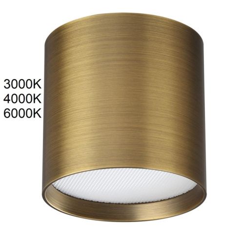 Уличный потолочный светильник Odeon Light Oben (Обен) 7128/8CL