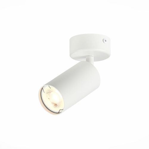 Светильник потолочный ST Luce Dario (Дарио) ST303.502.01