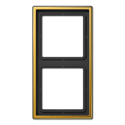 Рамка двухместная Jung Serie LS (Серие ЛС) LS982GGO