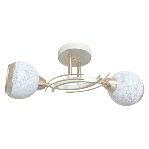 Светильник потолочный Toplight Leona (Леона) TL7390X-02WG