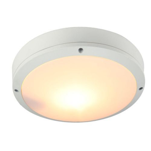 Уличный потолочный светильник Arte Lamp City (Циты) A8154PF-2WH