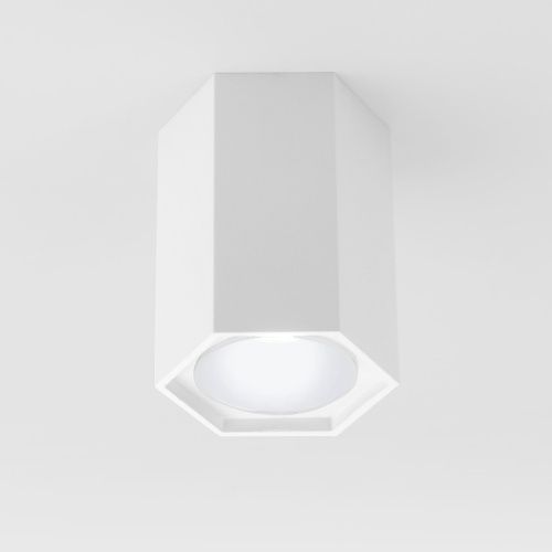 Светильник накладной Elektrostandard 25037-LED 4690389176500