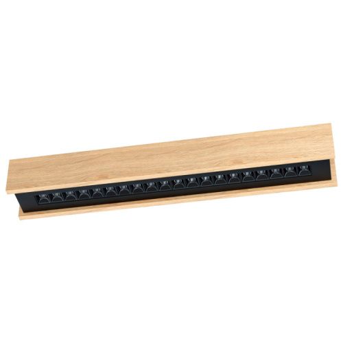 Светильник потолочный Eglo Termini 2 (Термини 2) 39791