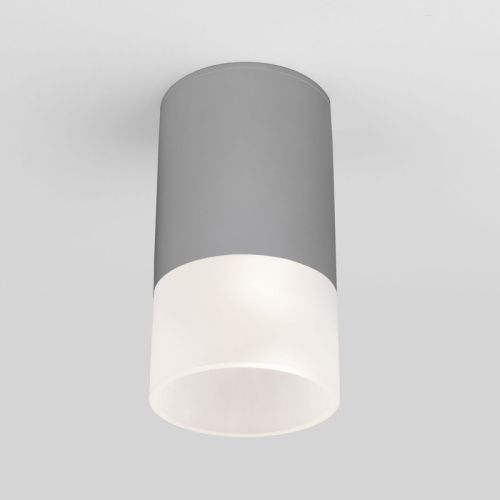 Уличный потолочный светильник Elektrostandard Light Led (Лигхт Лед) 4690389177934