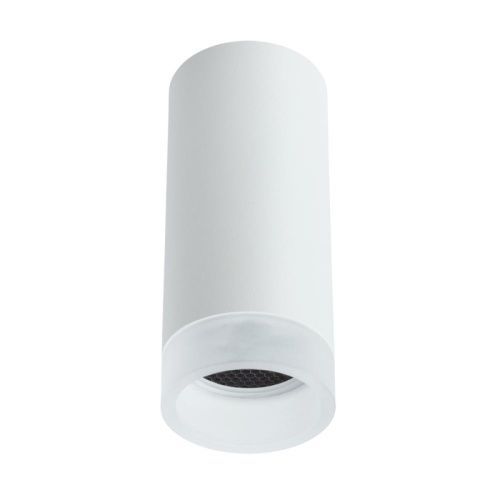 Светильник накладной Arte Lamp Ogma (Огма) A5556PL-1WH