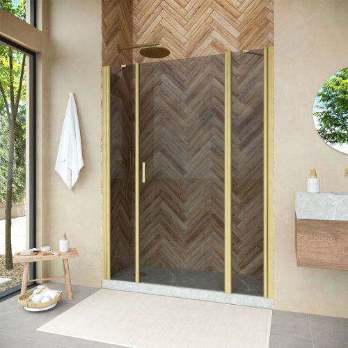 Душевая дверь Vegas-Glass EP-2F NOVO EP-2F NOVO 210 03 07 R 210х190 стекло тонированное профиль золото