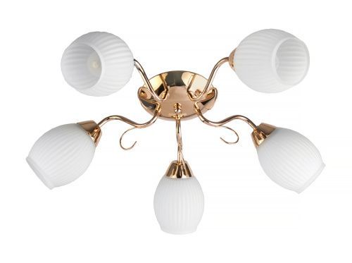 Люстра потолочная Toplight Kristin (Кристин) TL3520X-05FG