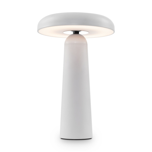 Настольная лампа Freya Mushroom (Гриб) FR6109TL-L4W