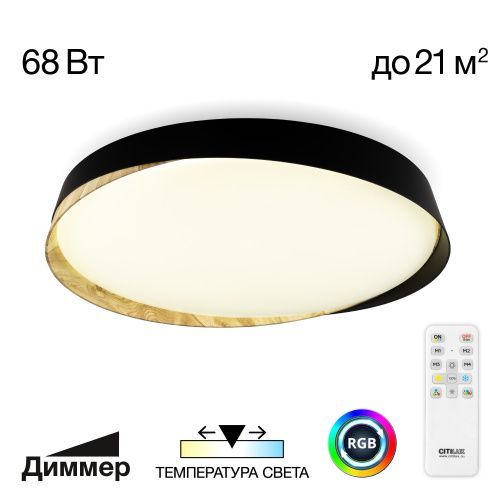 Светильник потолочный музыкальный Citilux Bonny (Бонны) CL754451G