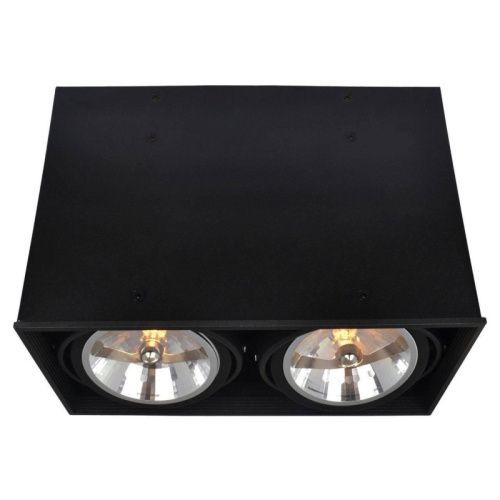 Светильник накладной Arte Lamp Cardani (Цардани) A5936PL-2BK