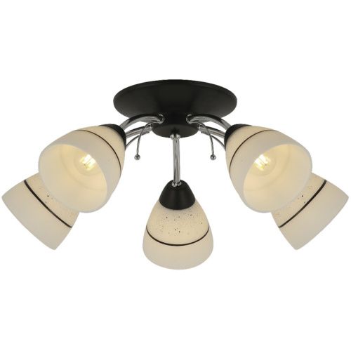 Люстра потолочная Toplight Winnifred (Виннифред) TL1255D-05BC