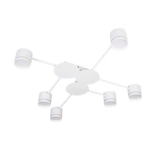 Люстра потолочная Arte Lamp Legacy (Легацы) A8024PL-6WH