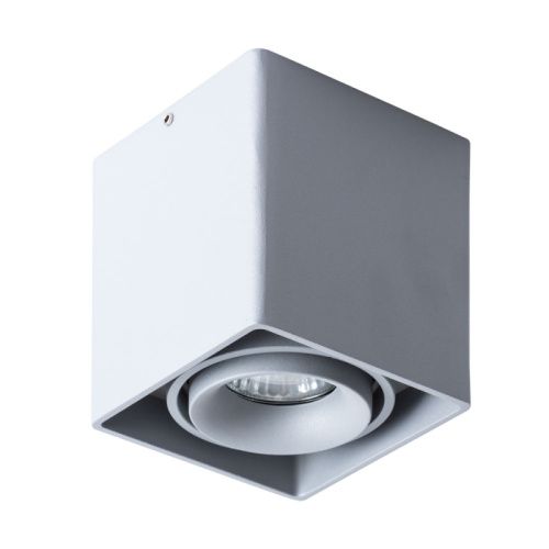 Светильник потолочный Arte Lamp Pictor (Пицтор) A5654PL-1GY