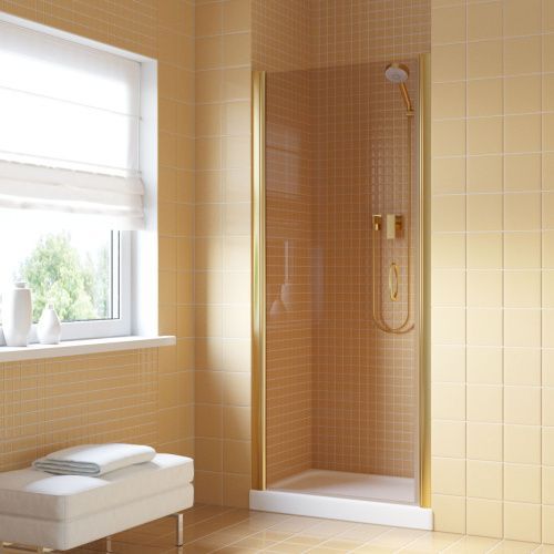 Душевая дверь Vegas-Glass EP LUX EP LUX 60 09 05 L 60х200 стекло тонированное профиль золото