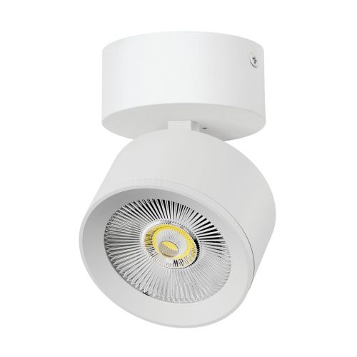 Светильник накладной Lightstar Alta Pro (Алта Про) A5536SO