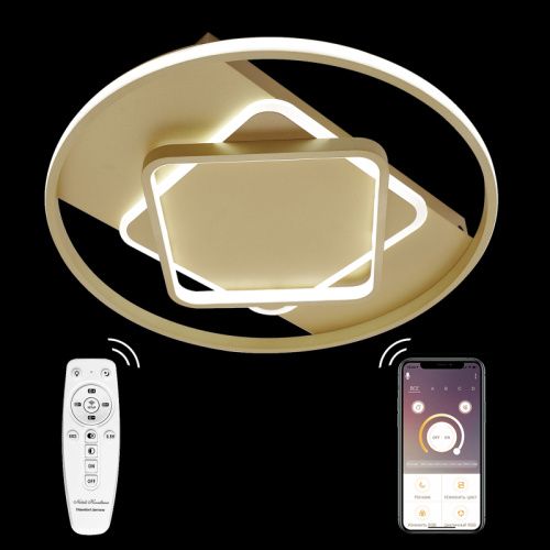Люстра потолочная Natali Kovaltseva LED LAMPS (ЛЕД ЛАМПС) LED LAMPS 81317