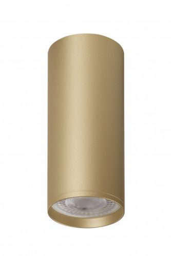 Светильник накладной Denkirs Tube (Тубе) DK2051-SG