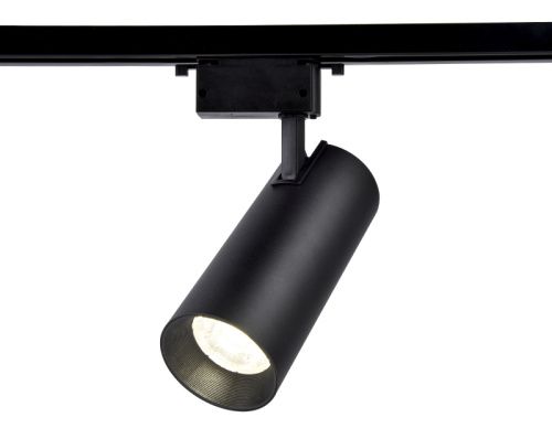 Трековый однофазный светильник Ambrella Light Track System (Трацк Сыстем) GL5859