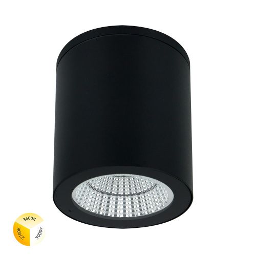 Уличный потолочный светильник Arte Lamp Torcular (Торцулар) A1313PF-1BK