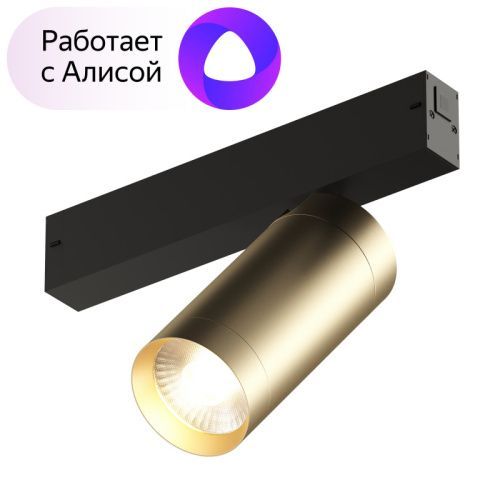 Трековый светильник Denkirs Smart Spot (Смарт Спот) DK8020-BG