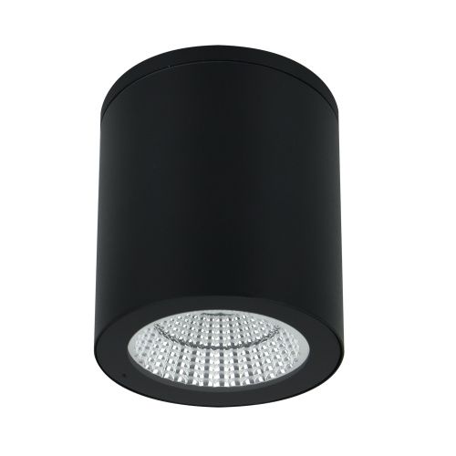 Уличный потолочный светильник Arte Lamp Torcular (Торцулар) A1813PF-1BK