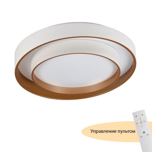 Светильник потолочный Myfar RHEA (РХЕА) MR9161-CL