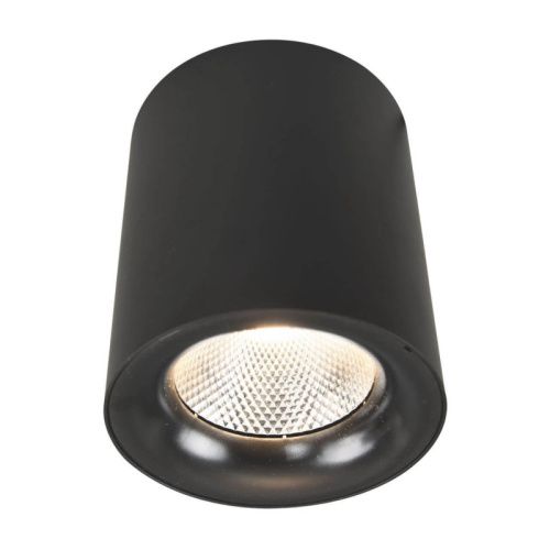 Светильник накладной Arte Lamp Facile (Фациле) A5118PL-1BK