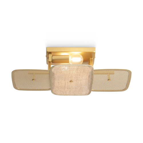 Светильник потолочный Freya Säffle (Саффле) FR5572CL-02G