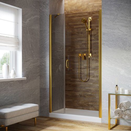 Душевая дверь Vegas-Glass EP-F-2 LUX EP-F-2 LUX 100 09 07 R 100х200 стекло тонированное профиль золото