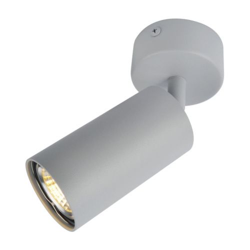 Спот Arte Lamp Aquarius (Акуариус) A3216PL-1GY