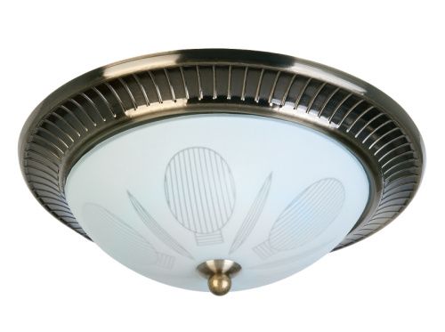 Светильник накладной Toplight Fae (Фае) TL5060Y-02AB
