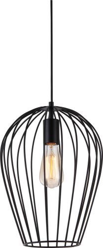 Светильник подвесной Toplight Kayla (Каыла) TL1174H-01BK