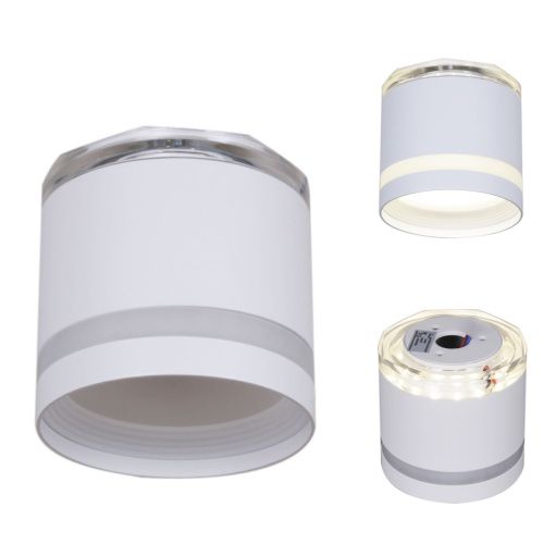 Светильник накладной Reluce 53001-9.5-001LD GX53+LED3W WT