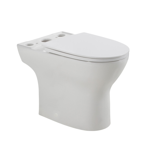 Чаша унитаза BelBagno LOUNGE BB045CPR/SC приставная