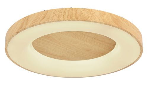Светильник потолочный Globo Jolli (Джолли) 41758-42