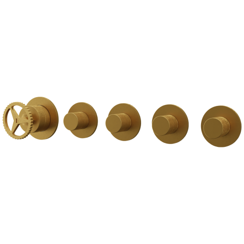 Смеситель для душа Remer Chrono CH98D4PBG встраиваемый в стену брашированное золото