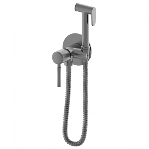 Смеситель для ванны и душа Wonzon & Woghand TOR WW-88829073-BGM встраиваемый в стену графит