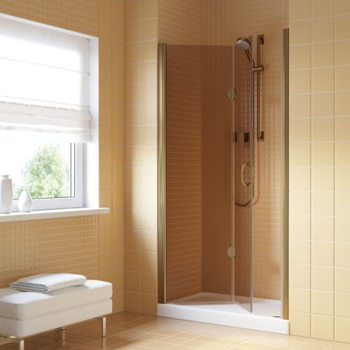 Душевая дверь Vegas-Glass GPS LUX GPS LUX 85 05 05 L 85х200 стекло тонированное профиль бронза