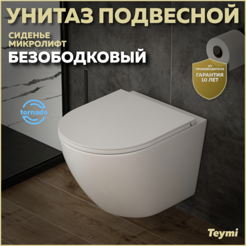 Унитаз подвесной Teymi Lina T40110 белый