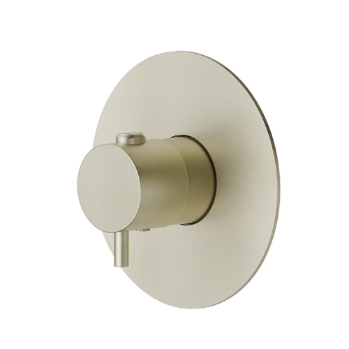 Смеситель для душа Newform X-STEEL 316 67670EX.59.098 встраиваемый в стену золото с термостатом