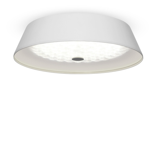 Светильник потолочный Freya Cells (Элементы) FR10013CL-L24W