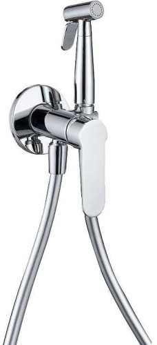Гигиенический душ со смесителем Aquanet Passion AF300-52С хром